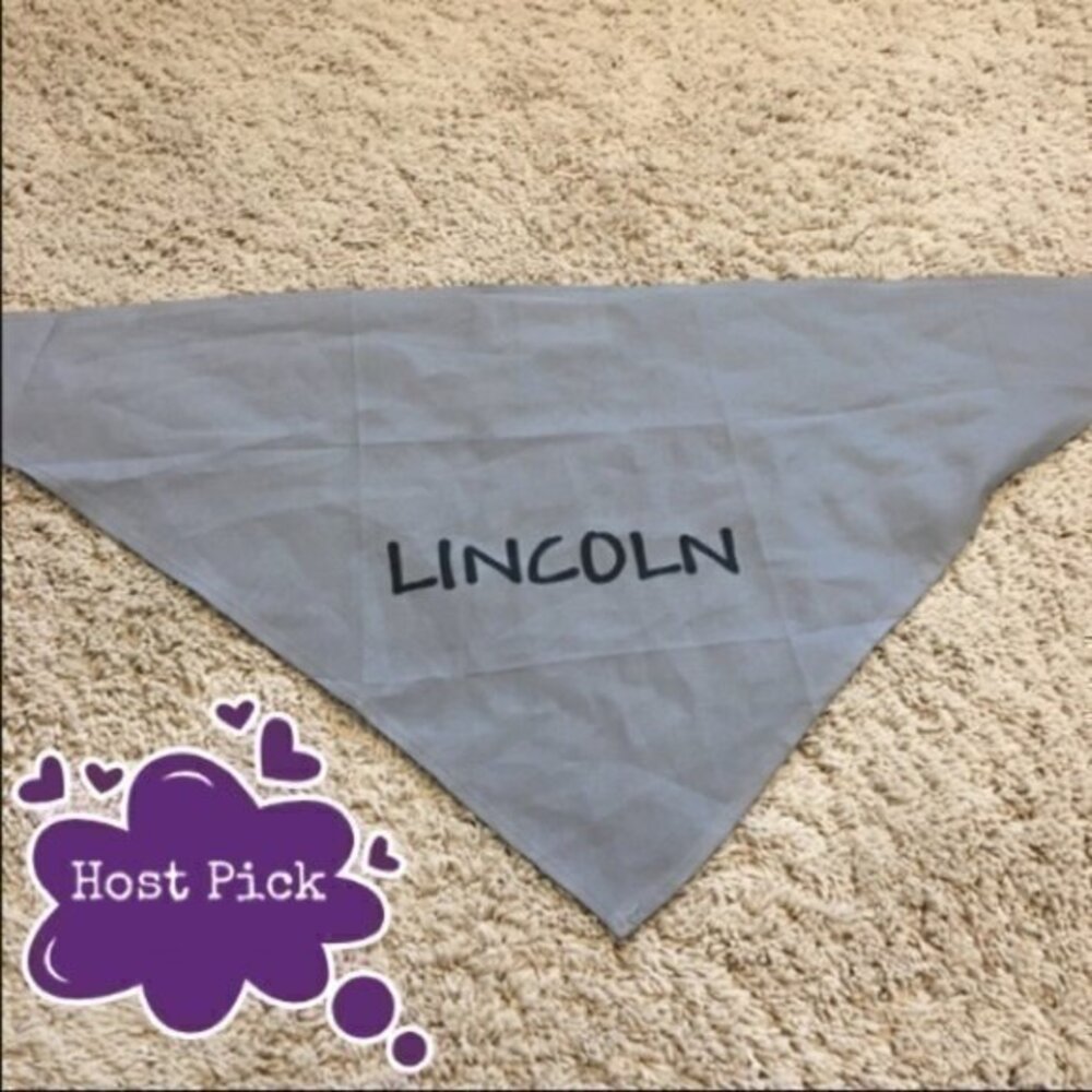 Lincoln pet bandana